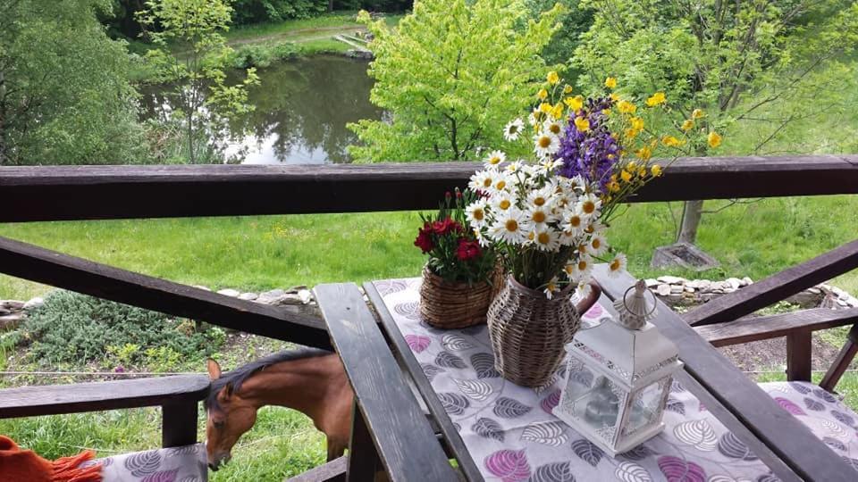 Agroturystyka Pod Swierkiem Srebrna Góra Eksteriør billede